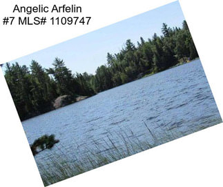 Angelic Arfelin #7 MLS# 1109747