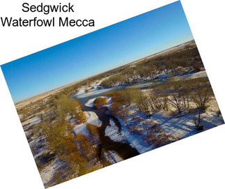 Sedgwick Waterfowl Mecca