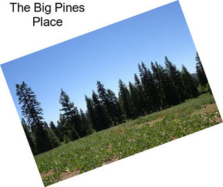 The Big Pines Place