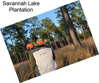 Savannah Lake Plantation