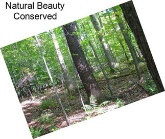 Natural Beauty Conserved