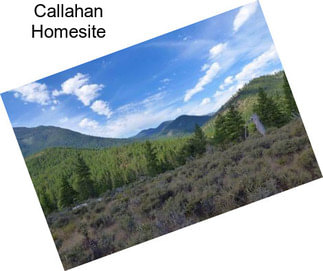 Callahan Homesite