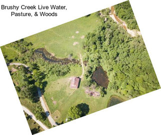 Brushy Creek Live Water, Pasture, & Woods