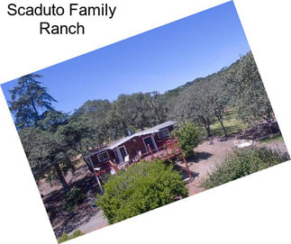 Scaduto Family Ranch