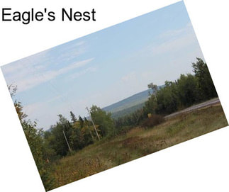 Eagle\'s Nest