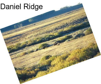 Daniel Ridge