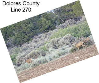 Dolores County Line 270
