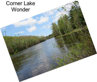 Corner Lake Wonder