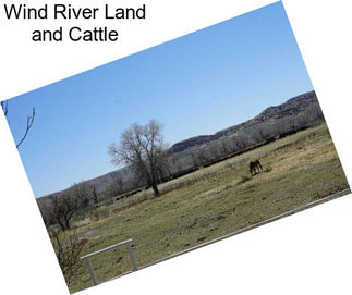 Wind River Land and Cattle