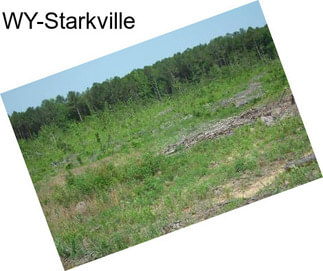 WY-Starkville