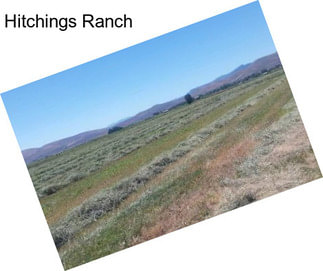 Hitchings Ranch