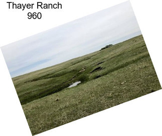 Thayer Ranch 960