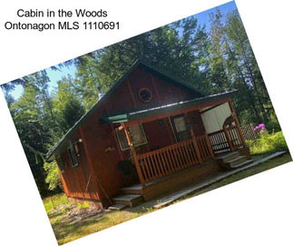 Cabin in the Woods Ontonagon MLS 1110691