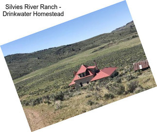 Silvies River Ranch - Drinkwater Homestead