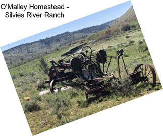 O\'Malley Homestead - Silvies River Ranch