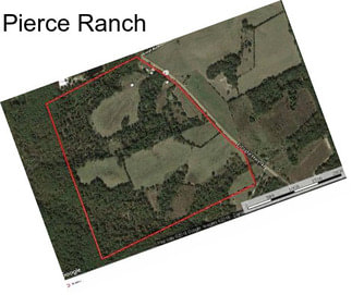 Pierce Ranch