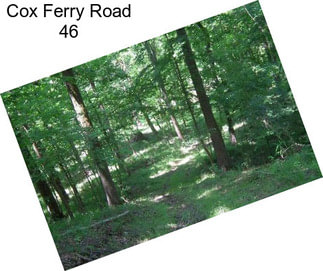 Cox Ferry Road 46