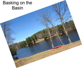 Basking on the Basin