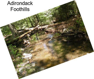Adirondack Foothills