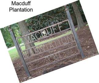 Macduff Plantation