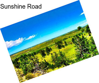 Sunshine Road