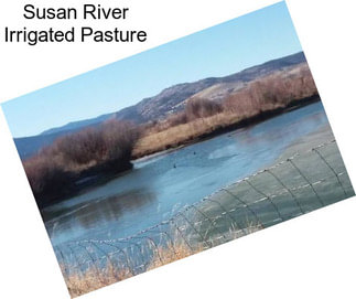 Susan River Irrigated Pasture