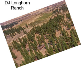 DJ Longhorn Ranch