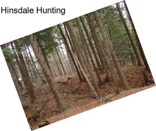 Hinsdale Hunting