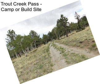 Trout Creek Pass - Camp or Build Site