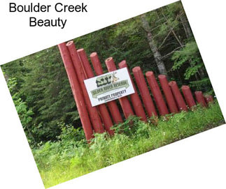 Boulder Creek Beauty