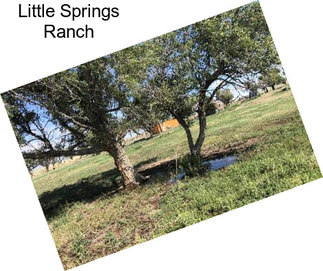 Little Springs Ranch