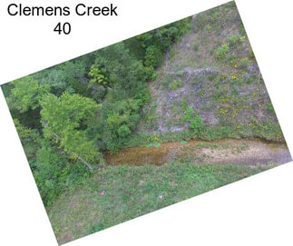 Clemens Creek 40