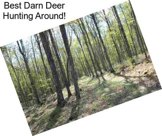 Best Darn Deer Hunting Around!