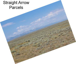 Straight Arrow Parcels