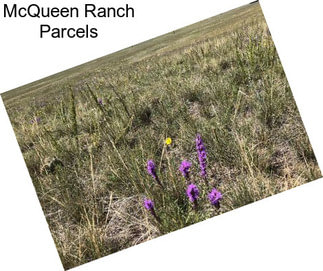 McQueen Ranch Parcels