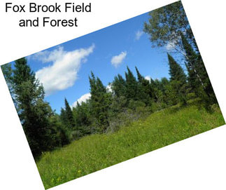 Fox Brook Field and Forest