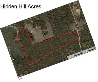 Hidden Hill Acres