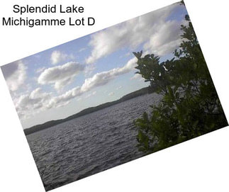 Splendid Lake Michigamme Lot D