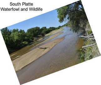 South Platte Waterfowl and Wildlife