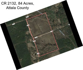 CR 2132, 84 Acres, Attala County