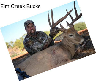 Elm Creek Bucks