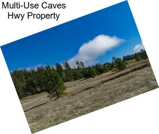 Multi-Use Caves Hwy Property