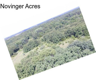 Novinger Acres