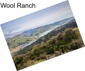 Wool Ranch