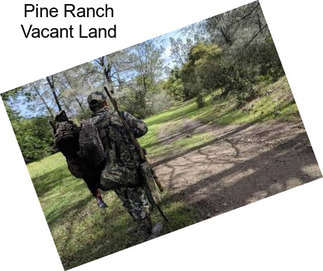 Pine Ranch Vacant Land