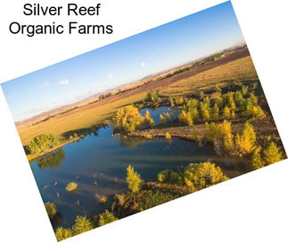 Silver Reef Organic Farms