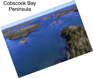 Cobscook Bay Peninsula