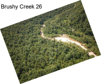 Brushy Creek 26