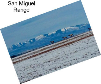 San Miguel Range