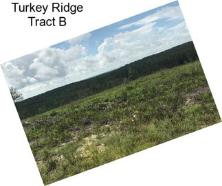 Turkey Ridge Tract B